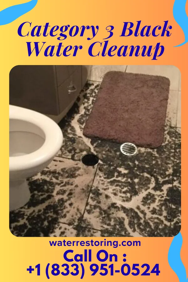 Category 3 Black Water Cleanup in Christiansburg, VA