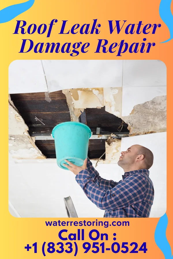 Roof Leak Water Damage Repair in Christiansburg, VA
